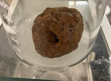 Load image into Gallery viewer, AquaKem™ Decal™ Heavy Duty