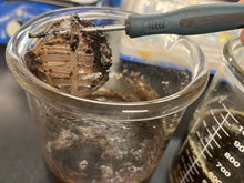 Load image into Gallery viewer, AquaKem™ Decal™ Heavy Duty