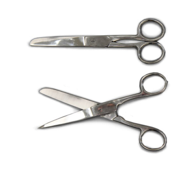 Rounded and Sharp Ended Scissors