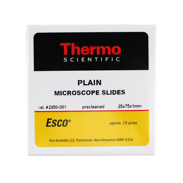 Delasco Shopify CDN PNG, 1600x1600, clean white bg. Box labeled 'Thermo Scientific PLAIN MICROSCOPE SLIDES, cat #2950-00