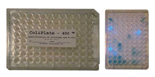 ColiPlate® Test Kit — Bacteria Test Kit