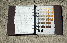 Image de chargement dans la visionneuse de la galerie, Gandel de graphique de couleur de sol Munsell