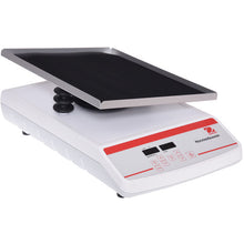 Load image into Gallery viewer, Rocking & Waving Shakers