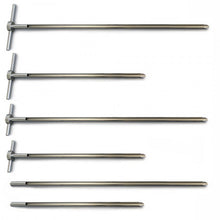 Load image into Gallery viewer, Sample Lance