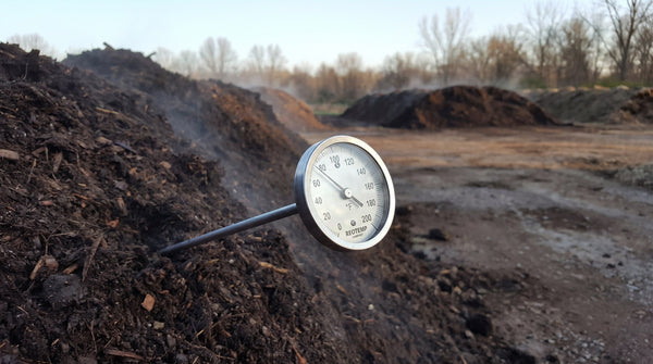 Thermomètre à cadran REOTEMP pour compost inséré dans un andain de compost fumant