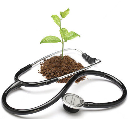 Soil