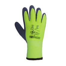 Image de chargement dans la visionneuse de la galerie, RONCO Iceberg™ 77-603 Gloves
