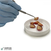 Needle — Laboratory Tool