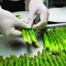 Load image into Gallery viewer, RONCO Gold-Touch™ Gloves
