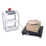 OHAUS Ranger™ Count 4000 Counting Scale