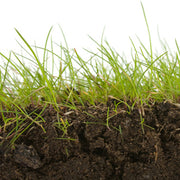 35-5-10 Lawn & Fairway Fertilizer — Bioremediation Product
