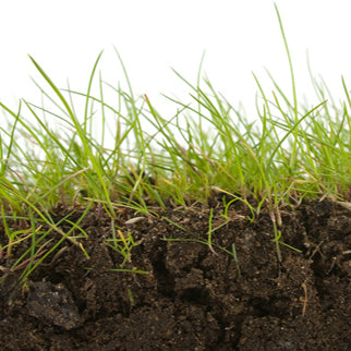 35-5-10 Lawn & Fairway Fertilizer — Bioremediation Product