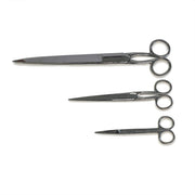 Pointed Scissors — Laboratory Tool