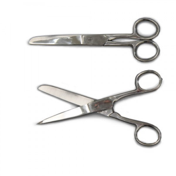 Rounded and Sharp Ended Scissors