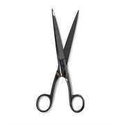 Pointed Scissors — Laboratory Tool